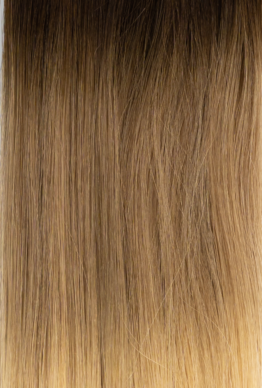 Tape-In Ombré #2/10/16 (Autumn Ombré)